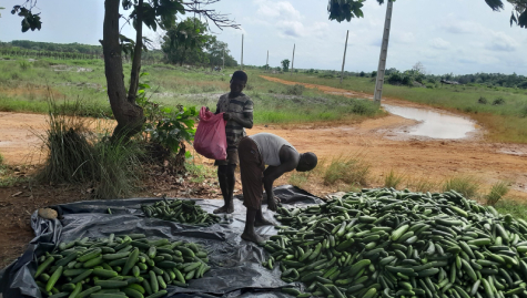 Limited access to markets