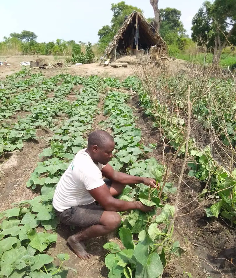 Farmer Toure